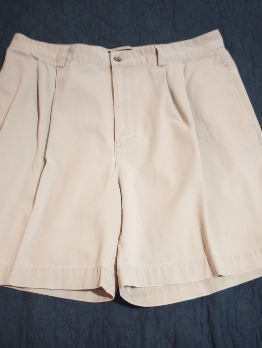 American Eagle Outfitters Men’s Flat Front Pleated Shorts - Light Beige